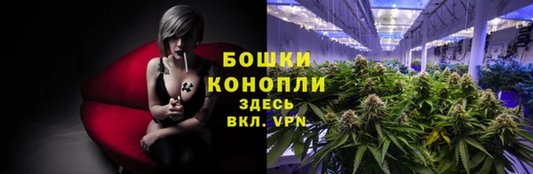 ALPHA PVP Арсеньев
