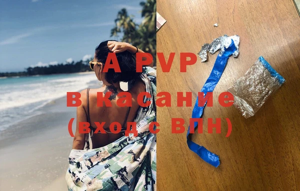 эйфоретик Аркадак
