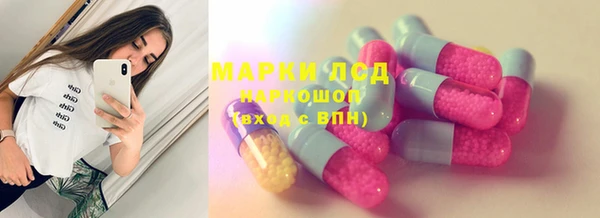 эйфоретик Аркадак