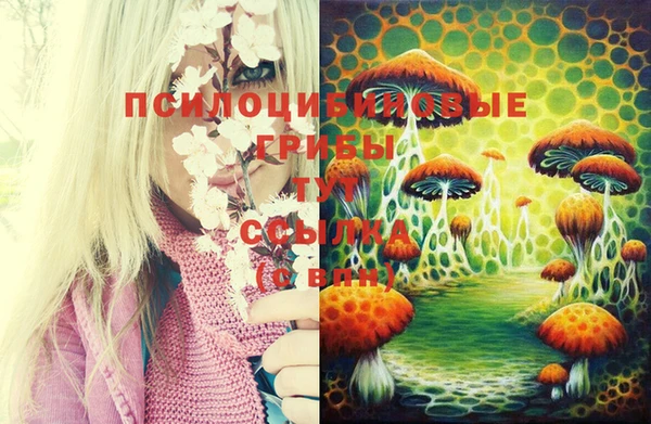эйфоретик Аркадак